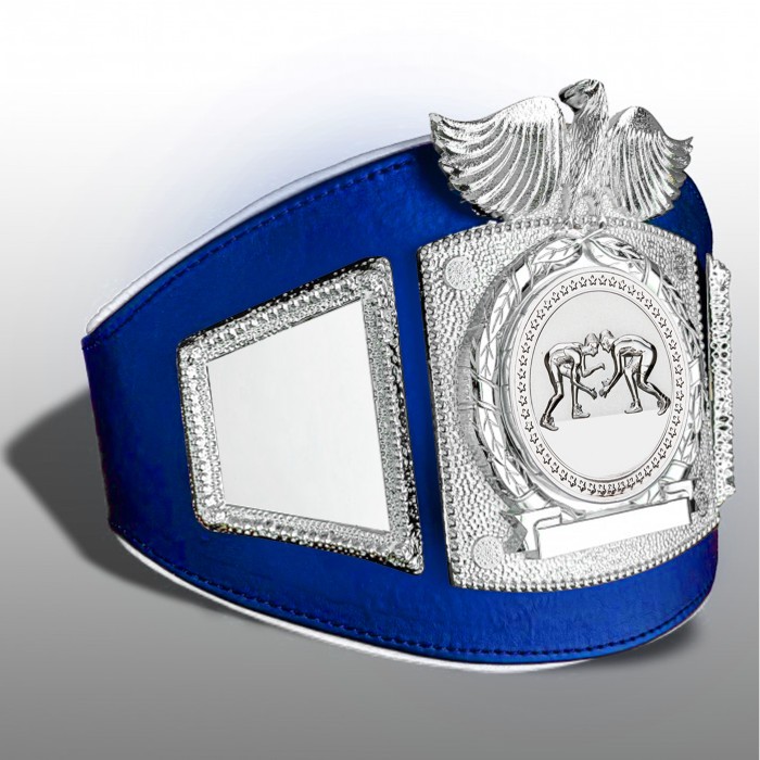 PROEAGLE GRAPPLING CHAMPIONSHIP BELT - PROEAGLE/S/GRAPS - AVAILABLE IN 6+ COLOURS